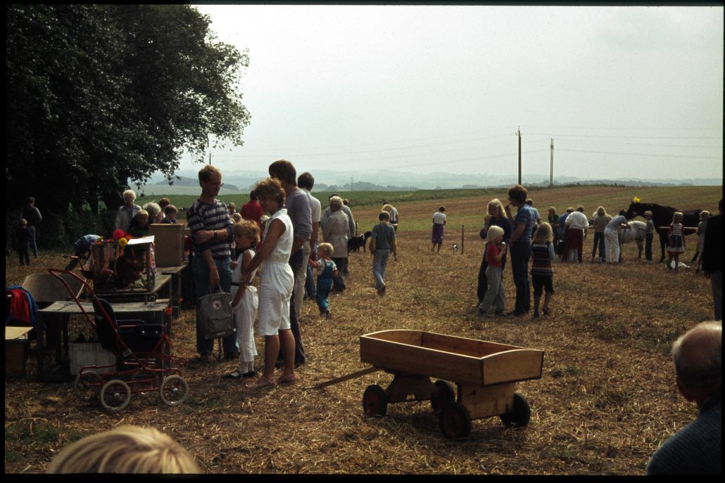 Dyrskue – markedsdag
